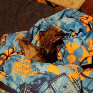 Meet your Posher, Alex